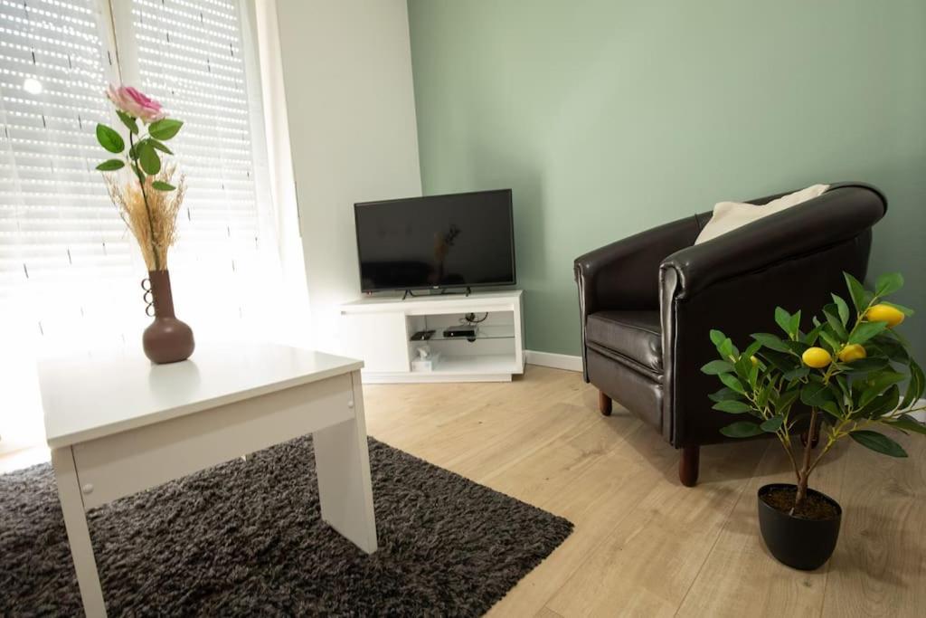 New Appartement Proche Gare Et Centre-Ville Colmar Dış mekan fotoğraf
