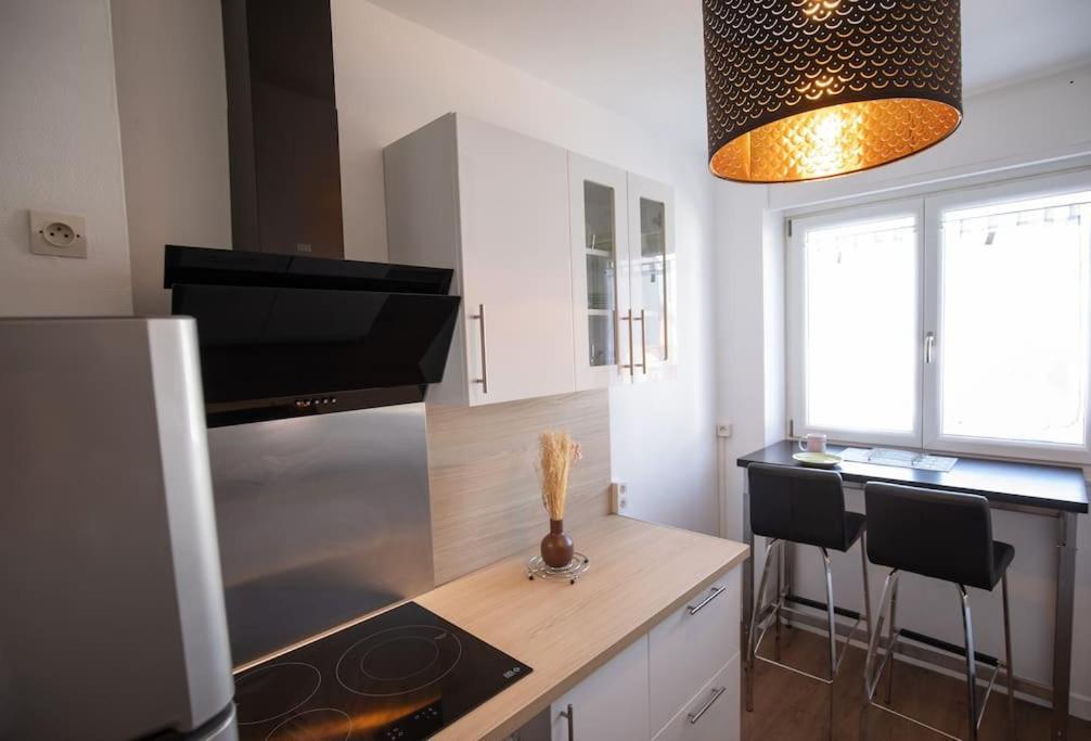 New Appartement Proche Gare Et Centre-Ville Colmar Dış mekan fotoğraf