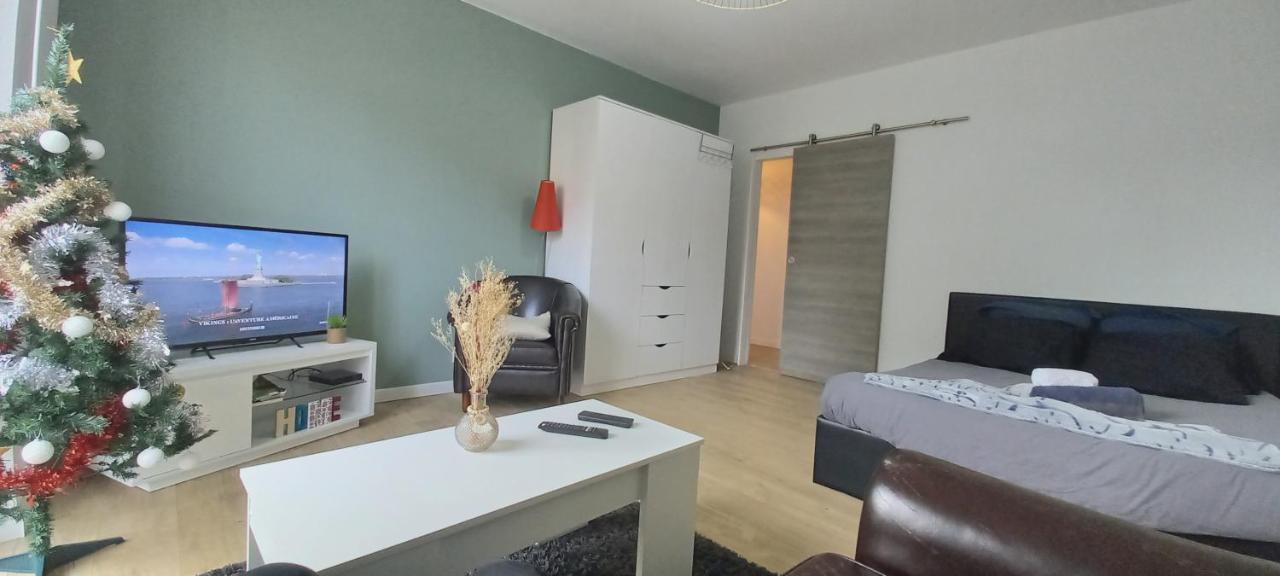 New Appartement Proche Gare Et Centre-Ville Colmar Dış mekan fotoğraf